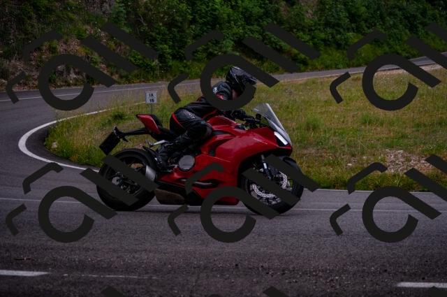 202506221215-DSC_4253_d2_