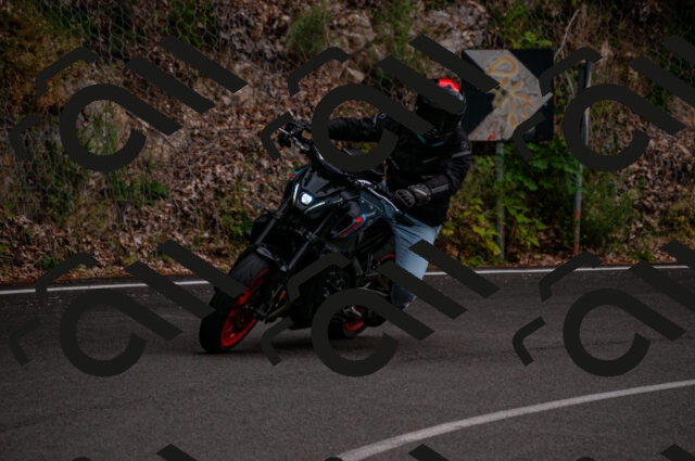 202506221216-DSC_4255_d2_