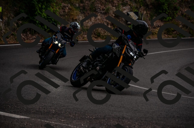 202506221217-DSC_4266_d2_