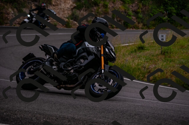 202506221217-DSC_4267_d2_