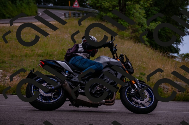 202506221217-DSC_4270_d2_