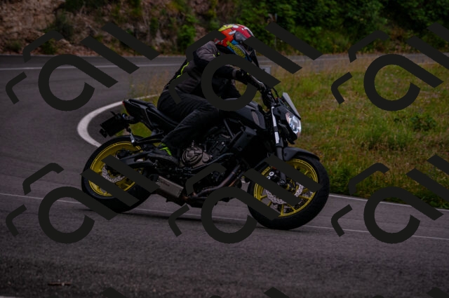 202506221217-DSC_4273_d2_