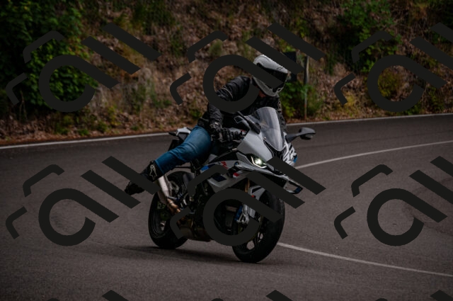 202506221223-DSC_4285_d2_