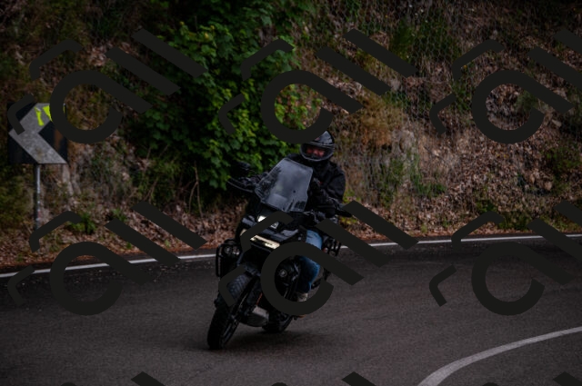 202506221229-DSC_4302_d2_