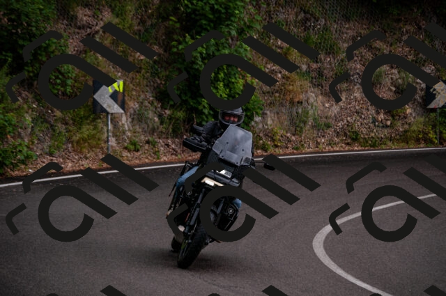 202506221229-DSC_4303_d2_