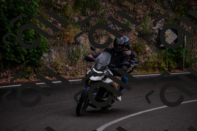 202506221229-DSC_4305_d2_