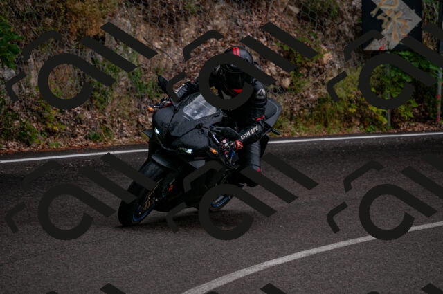 202506221231-DSC_4309_d2_