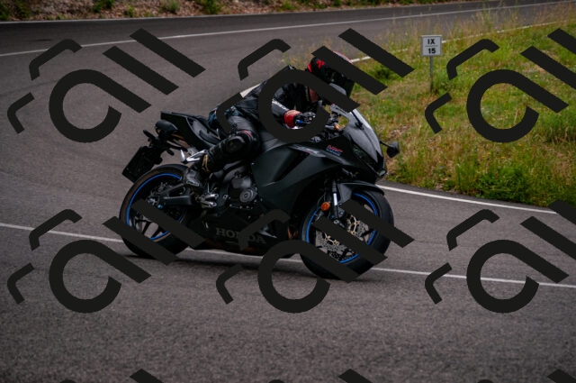 202506221231-DSC_4312_d2_