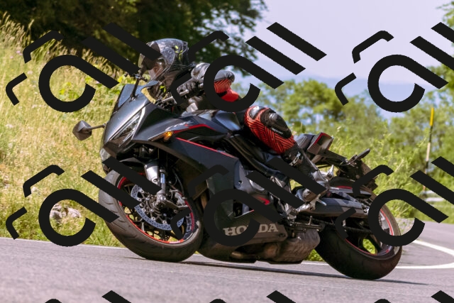 202506211051-_DSC0108_d1_