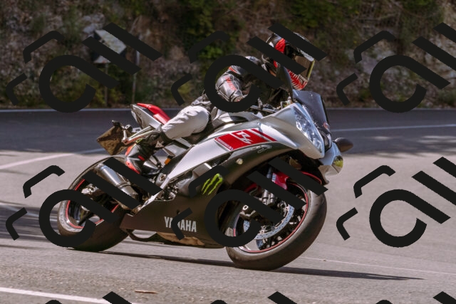 202506211059-_DSC0139_d1_