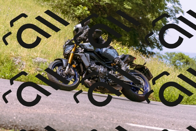 202506211103-_DSC0151_d1_