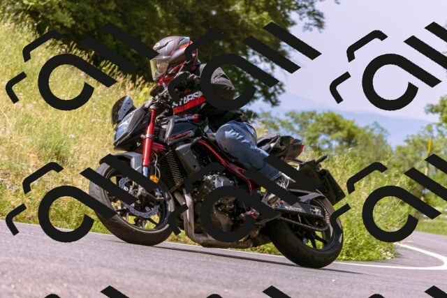 202506211103-_DSC0152_d1_