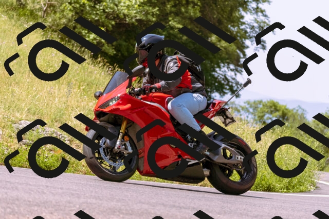 202506211111-_DSC0182_d1_