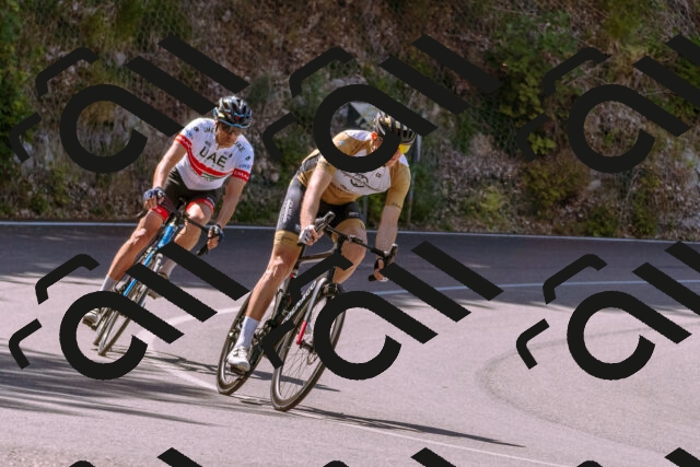 202506211112-_DSC0187_d1_