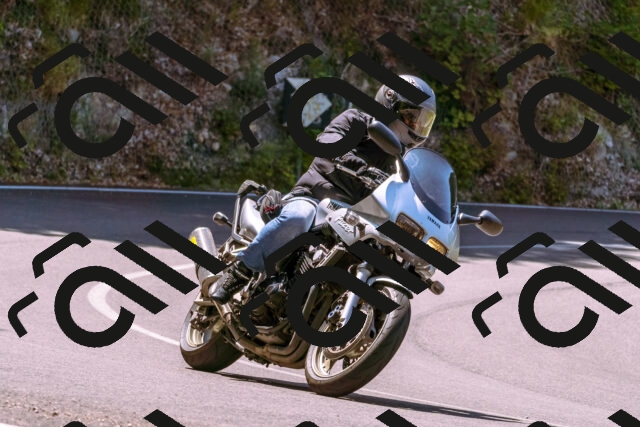 202506211128-_DSC0257_d1_