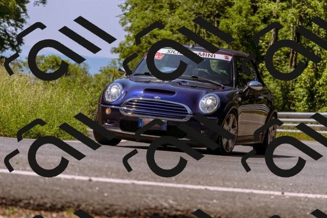 202506211131-_DSC0263_d1_