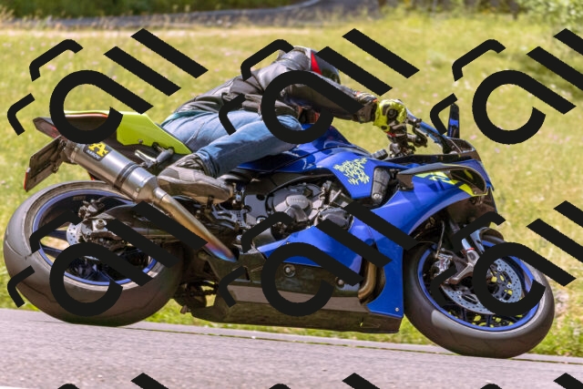 202506211137-_DSC0310_d1_