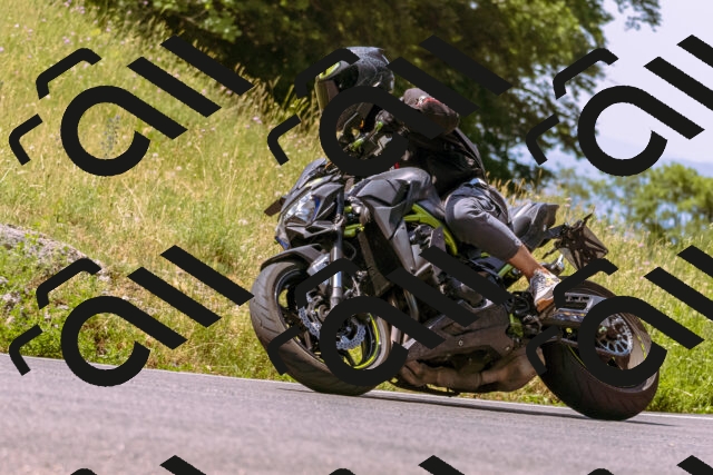 202506211138-_DSC0312_d1_