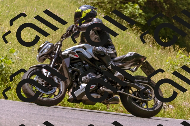 202506211138-_DSC0314_d1_