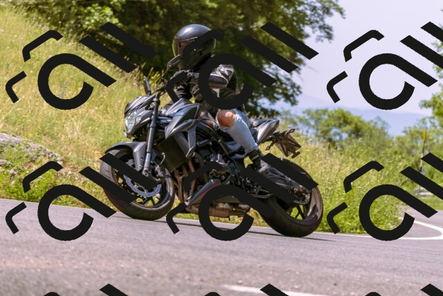 202506211138-_DSC0315_d1_