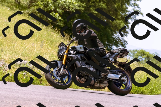 202506211141-_DSC0345_d1_