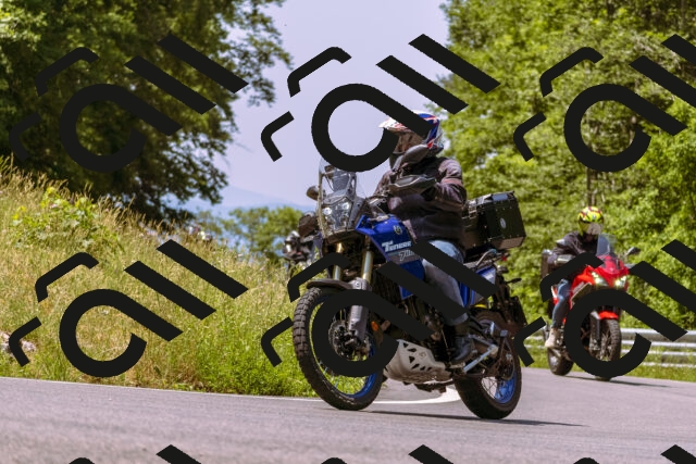 202506211150-_DSC0378_d1_