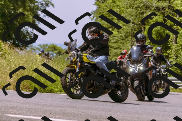 202506211150-_DSC0382_d1_