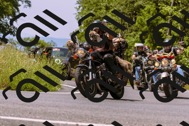 202506211150-_DSC0392_d1_