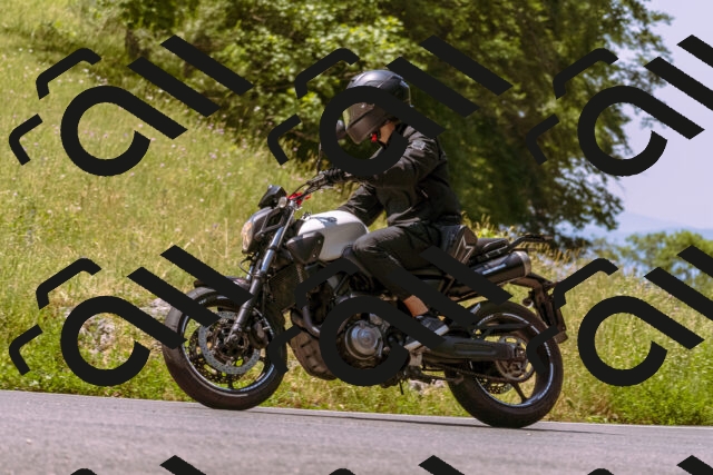 202506211151-_DSC0409_d1_