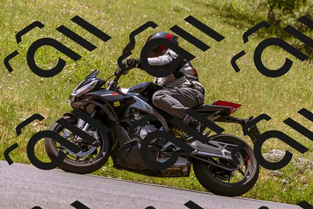 202506211152-_DSC0420_d1_