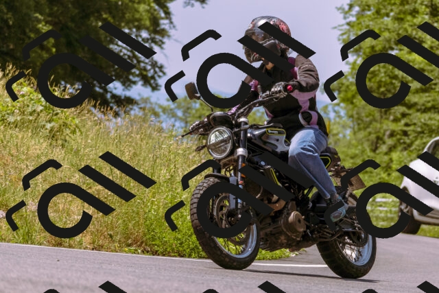 202506211155-_DSC0438_d1_