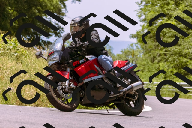 202506211212-_DSC0483_d1_