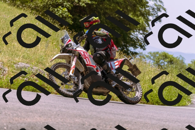 202506211212-_DSC0491_d1_