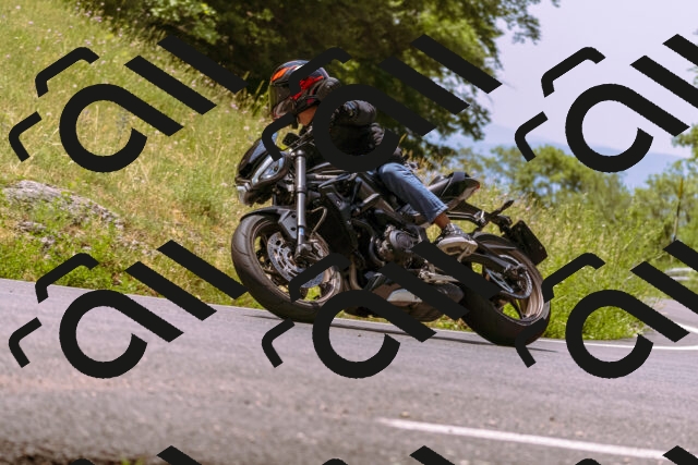 202506211226-_DSC0516_d1_