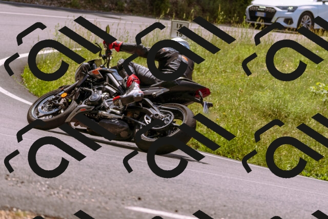 202506211242-_DSC0546_d1_