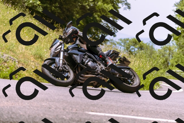 202506211242-_DSC0548_d1_