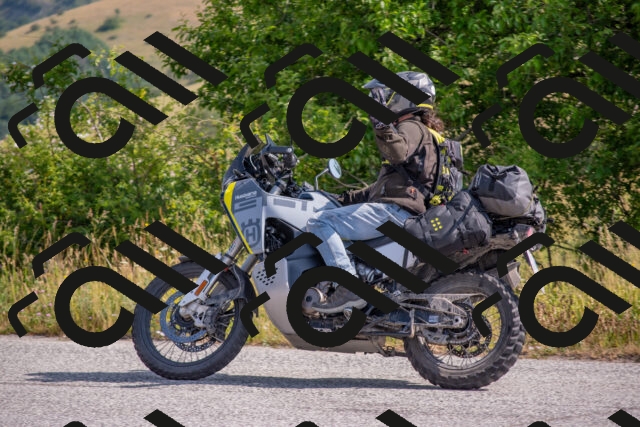 202506220953-DSC_4233_c4_