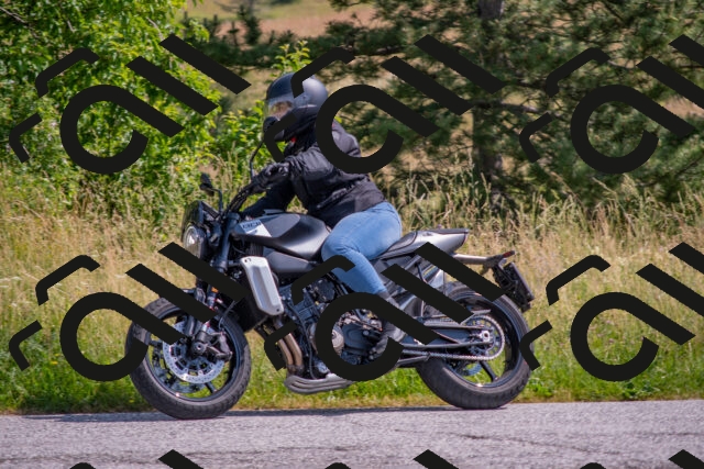 202506221032-DSC_4377_c4_