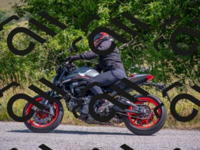 202506221032-DSC_4381_c4_