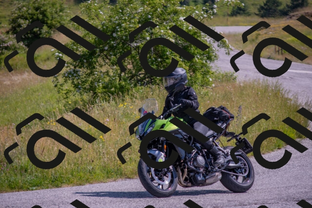 202506221034-DSC_4400_c4_