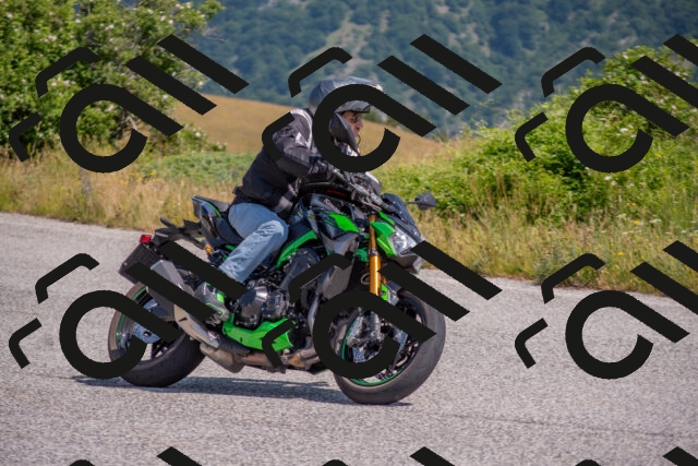 202506221042-DSC_4440_c4_