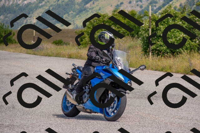 202506221058-DSC_4544_c4_