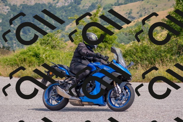 202506221058-DSC_4545_c4_