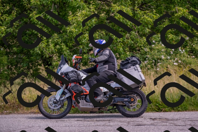 202506221059-DSC_4553_c4_