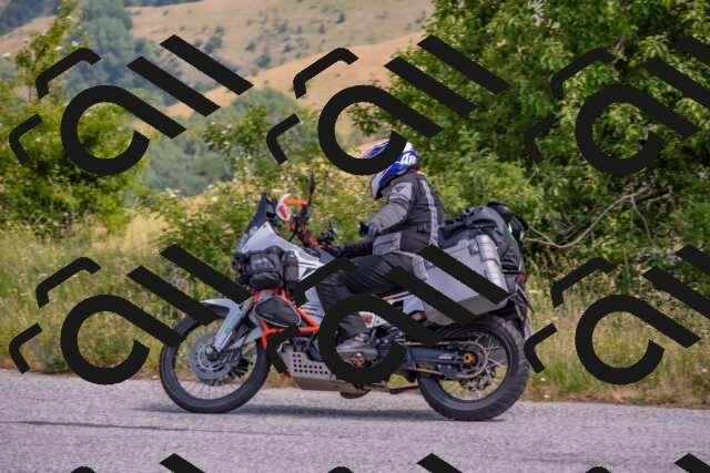 202506221059-DSC_4554_c4_