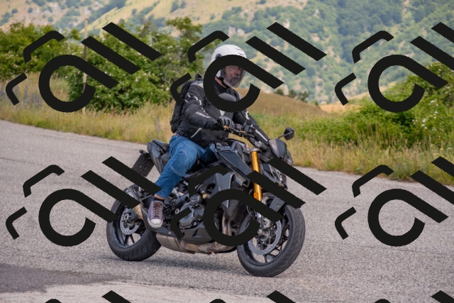 202506221130-DSC_4754_c4_