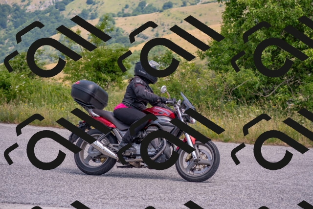 202506221133-DSC_4784_c4_