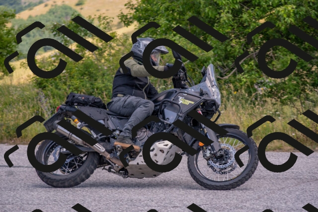 202506221136-DSC_4791_c4_