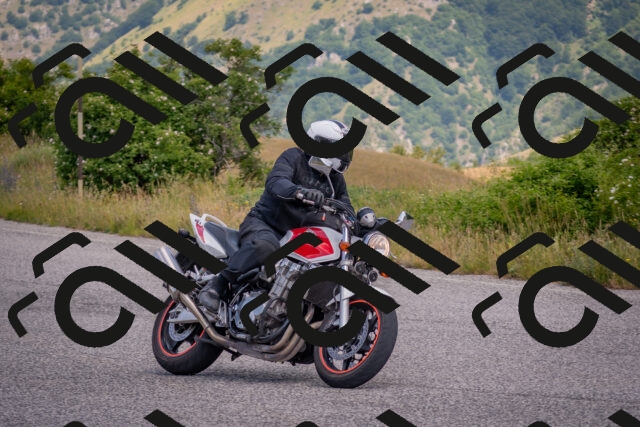 202506221137-DSC_4811_c4_