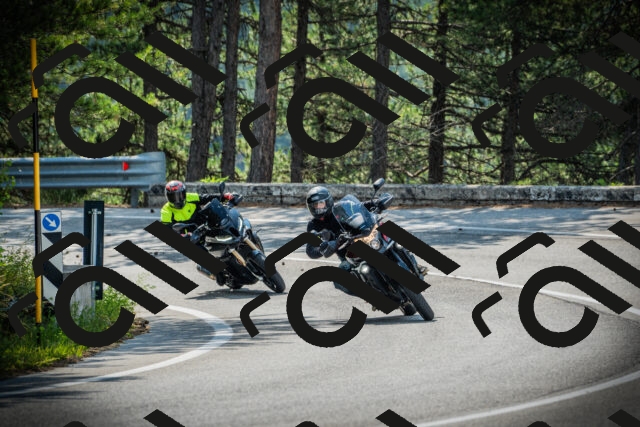 202506221000-DSC02901_c1_